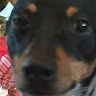Ellen