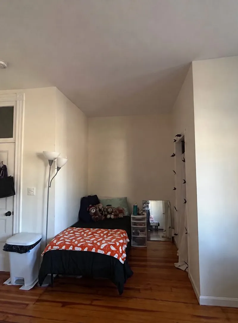 2 Furnished rooms in Mission Hill, Boston - Bedroom 1