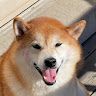 Xiao