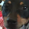 Ellen