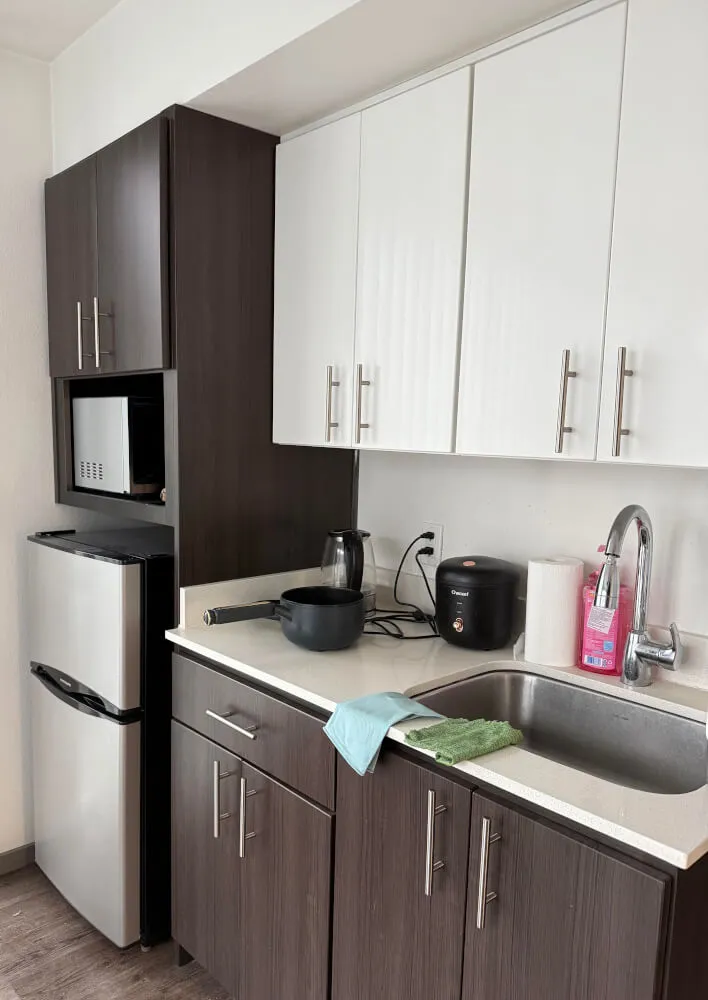 South-Facing Studio D at Nora Apartments | Walk to UW Campus | Move-in Jan 2027