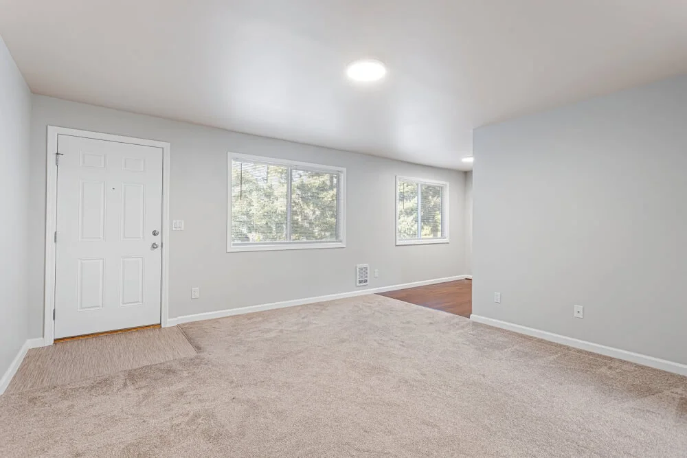 Kenmore Apartment available October/November!