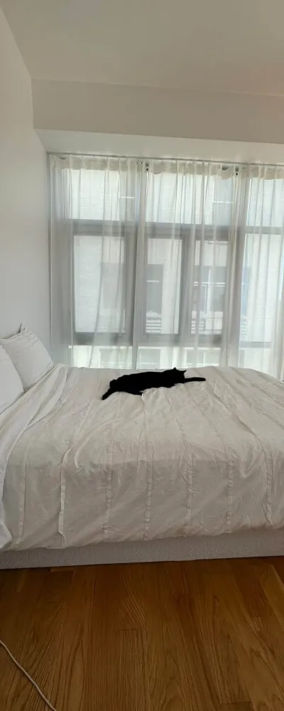 Spacious Three Bedroom Apartment in Elmhurst Queens
