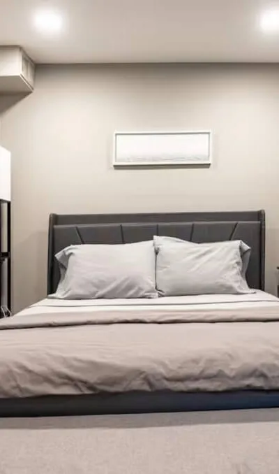 Modern one bedroom