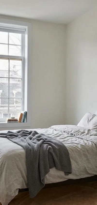 1 bedroom apartment in Clinton Hill