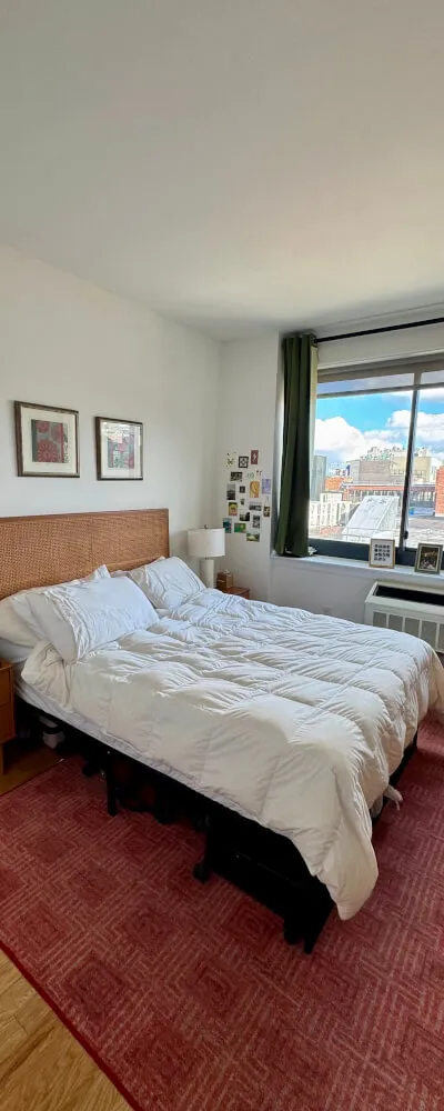 Sunny apartment in Williamsburg
