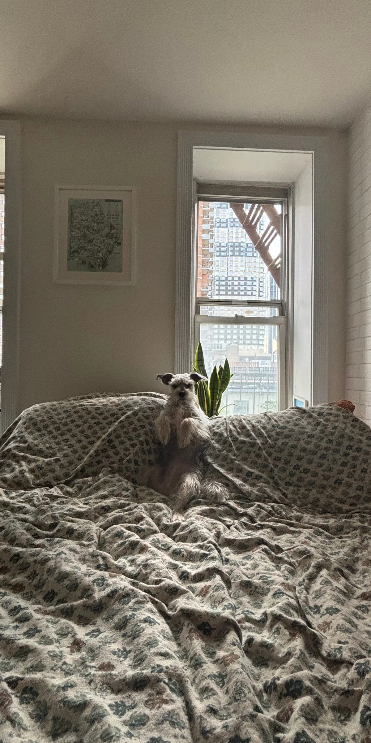 Sunny Hells Kitchen Apartment