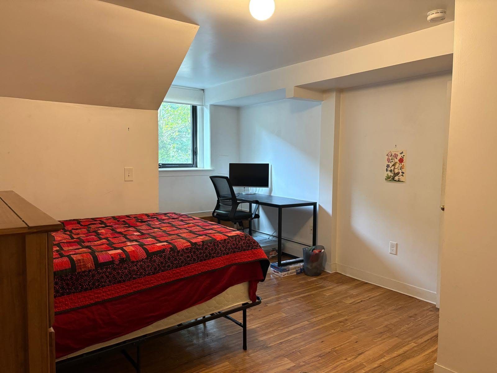Spacious Room in Brookline 4BR/3BA Apartment