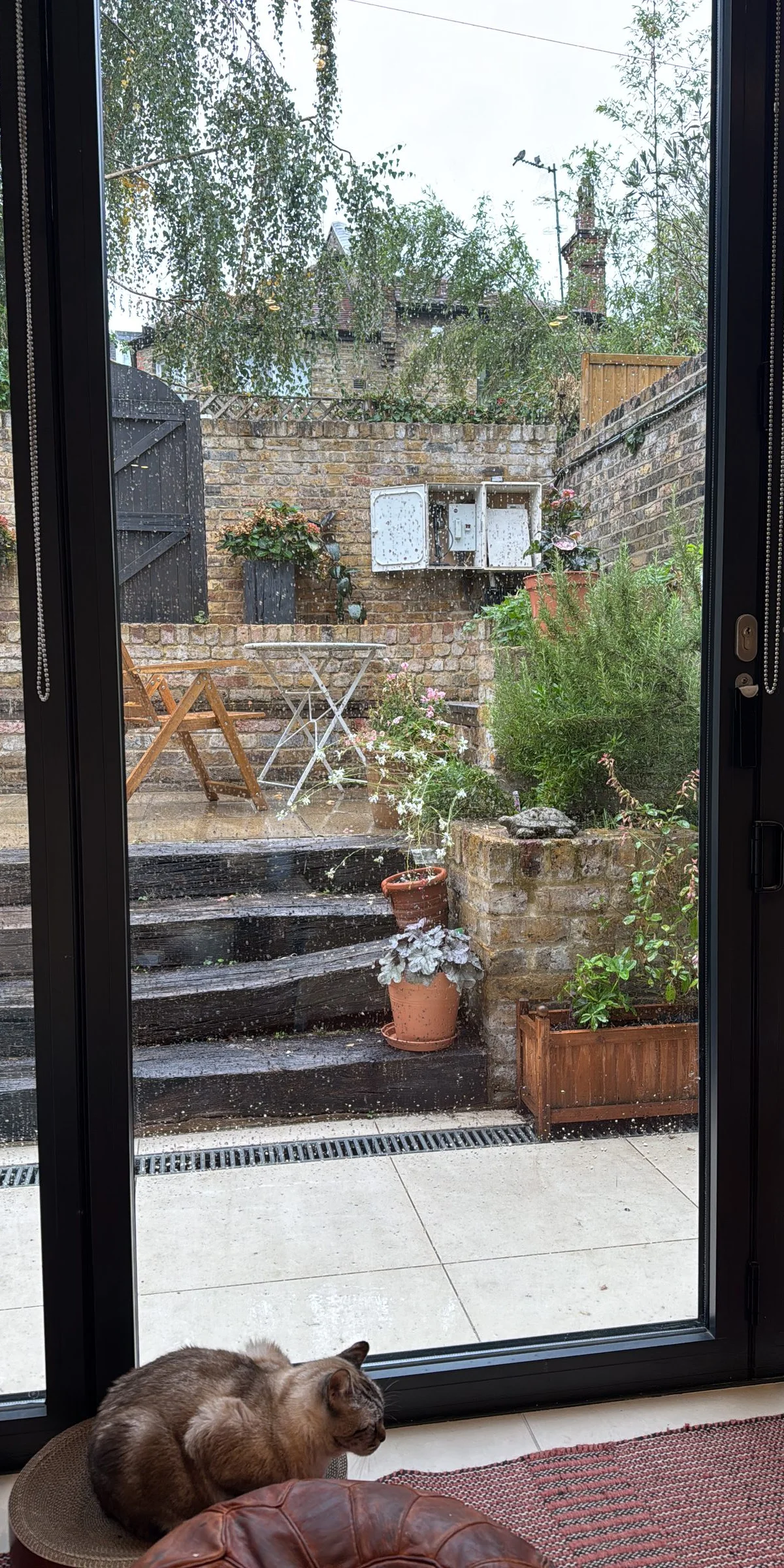 Garden Girl! Furnished private room in a 2-bed 2-bath W10 house