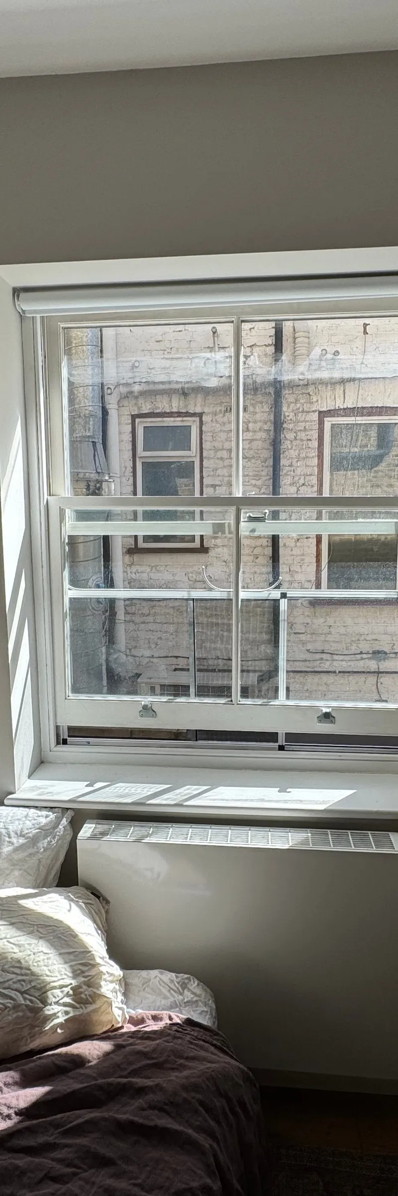 Garden Girl! Furnished private room in a 2-bed 2-bath W10 house