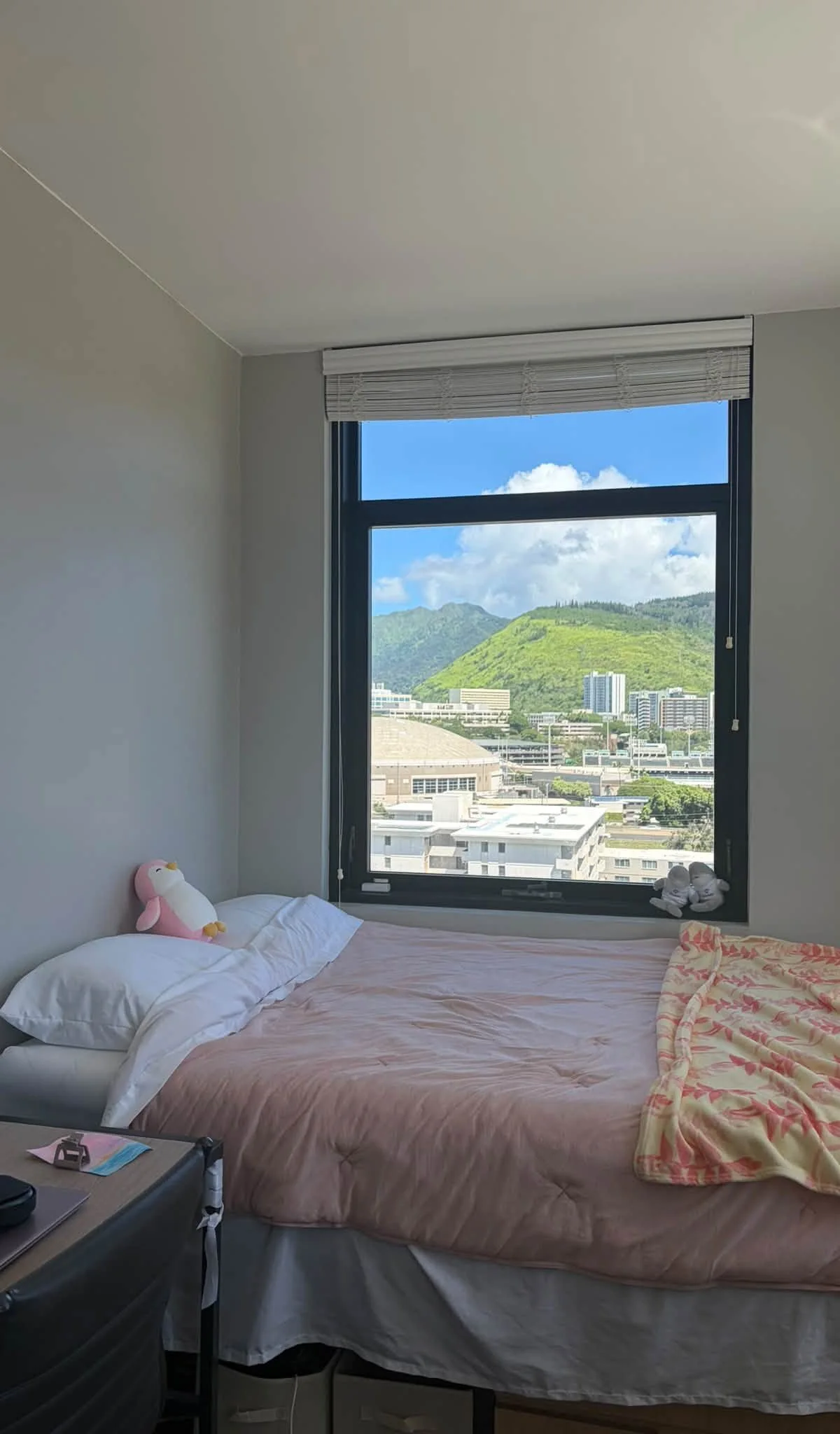 Shared Room in 2-Bedroom Apartment at Hale Mahana