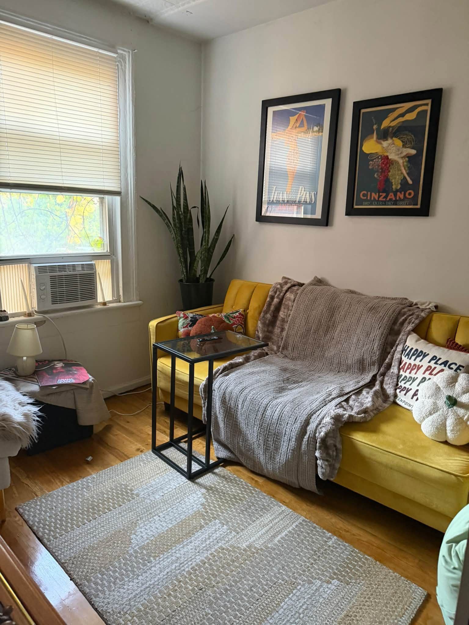 Flex Room in Shared Greenpoint Apartment