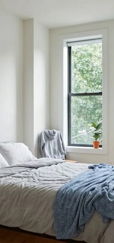 1 bedroom apartment in Ocean Hill