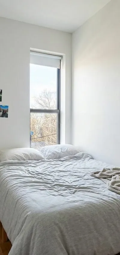1 bedroom apartment in Bedford-Stuyvesant