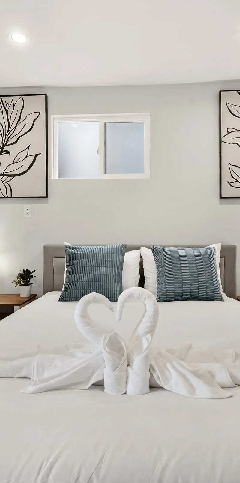 Comfy 1BR Suite in SF | Easy Muni Access