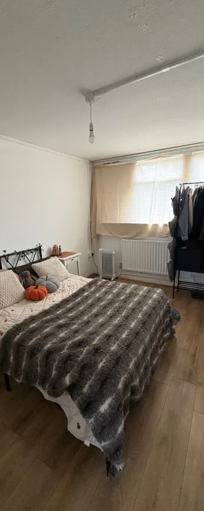 Entire Flat Available for January in London