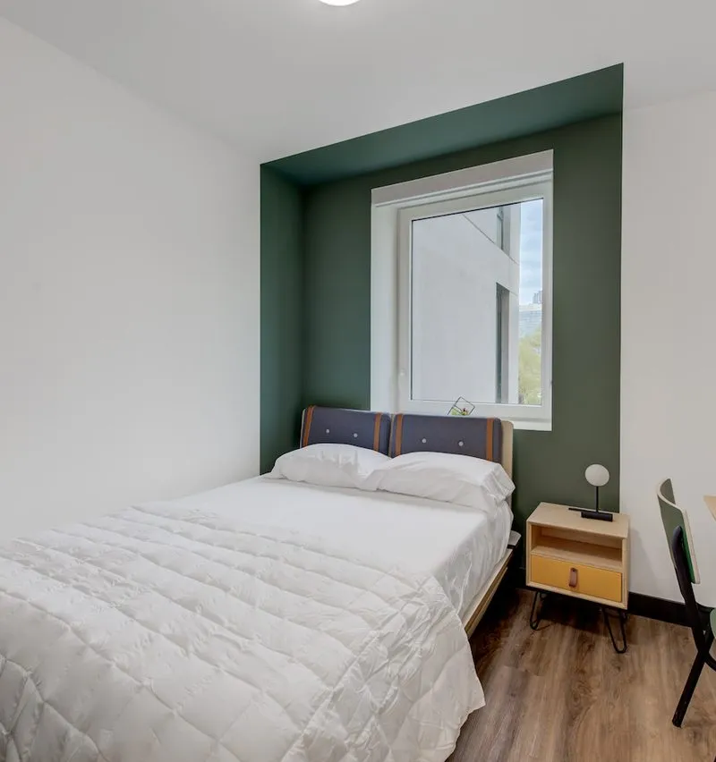 1 bedroom apartment in Williamsburg