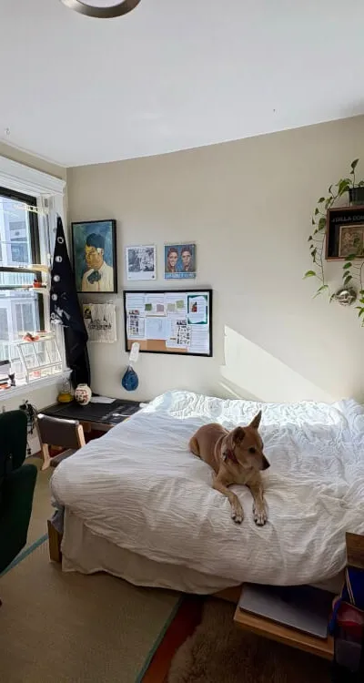 Bright Private Room in Renovated Brighton Apartment