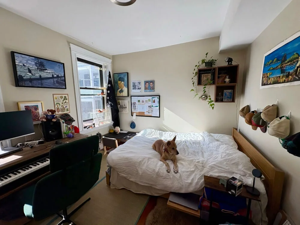 Bright Private Room in Renovated Brighton Apartment