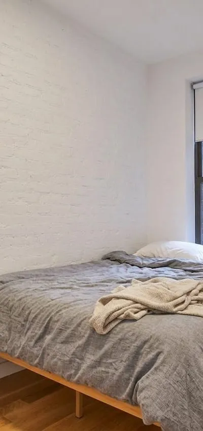 1 bedroom apartment in Bedford-Stuyvesant