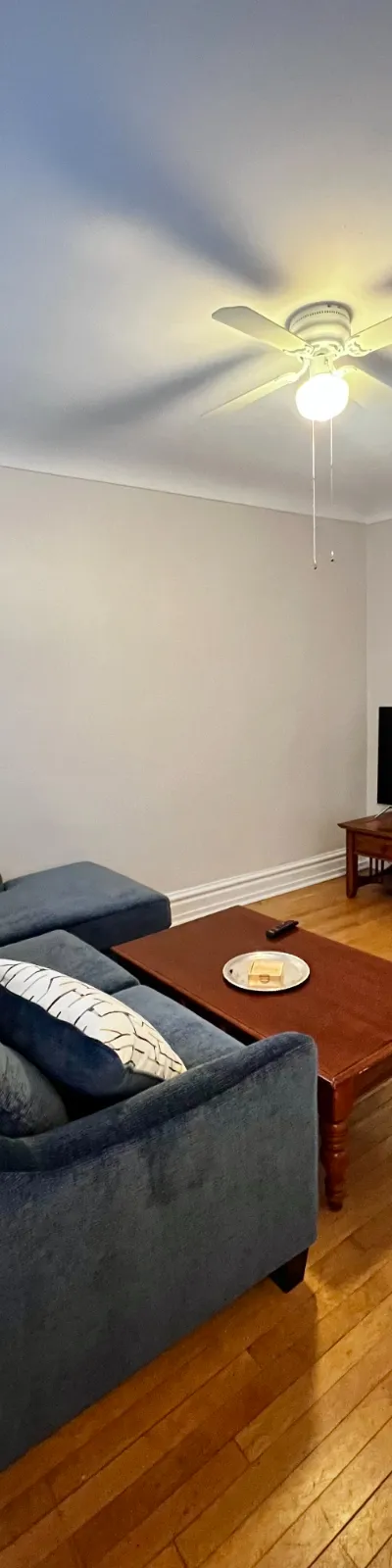 Cozy Bucktown, Chicago Apartment