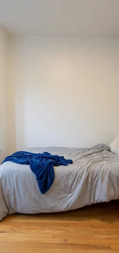 1 bedroom apartment in Bedford-Stuyvesant