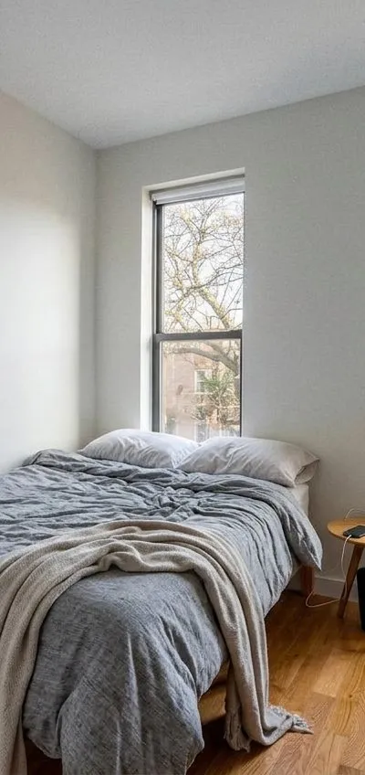 1 bedroom apartment in Bedford-Stuyvesant