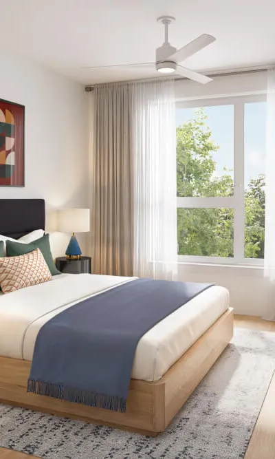 1 Bedroom Suite
