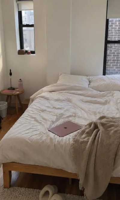 1 bedroom apartment in Bedford-Stuyvesant