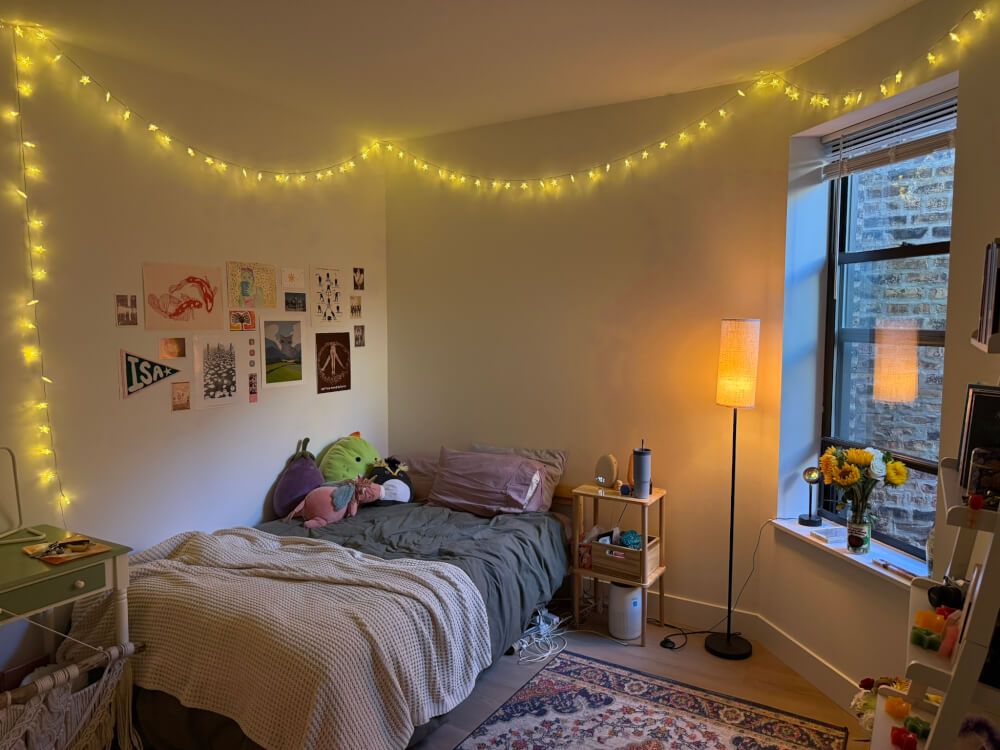 Room in newly renovated spacious apartment 5 min walk from campus