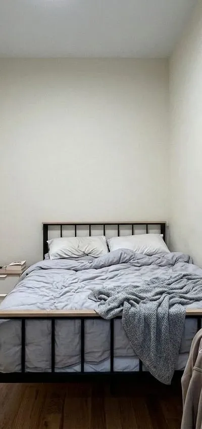 1 bedroom apartment in Bedford-Stuyvesant