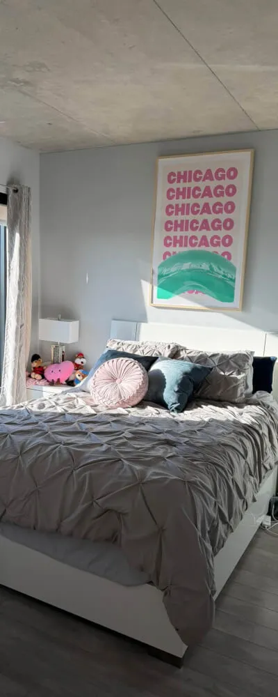 Luxury One Bedroom Sublet in Wrigleyville
