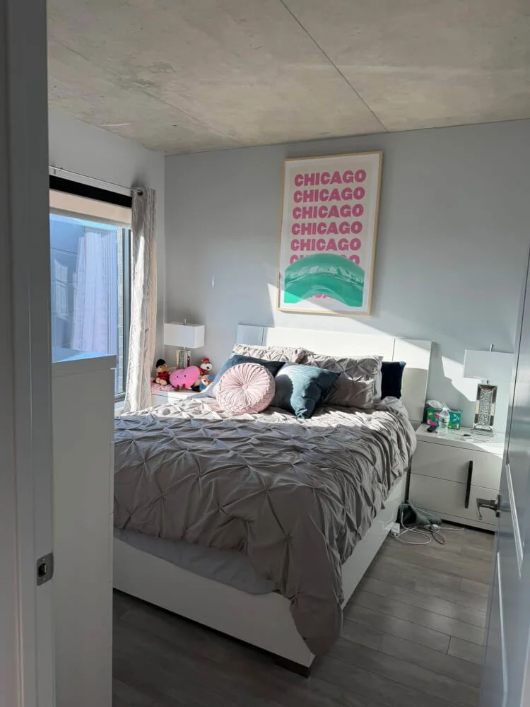 Luxury One Bedroom Sublet in Wrigleyville