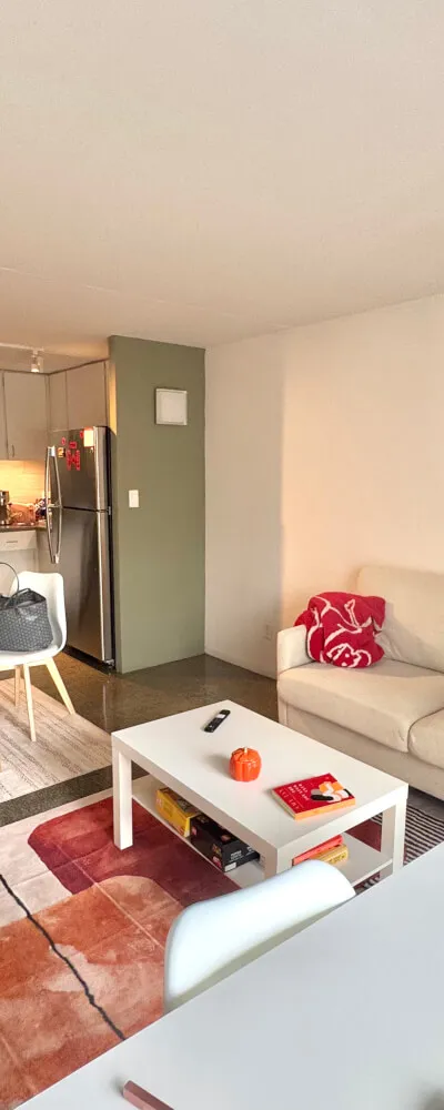 Beautiful Furnished 1b1b in Cambridge (Charles River View)