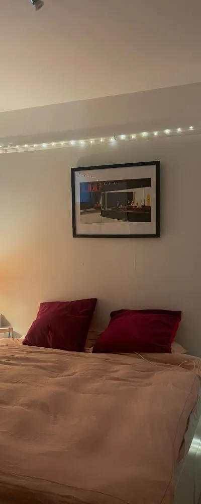 1 month sublet in garden flat NW2 !