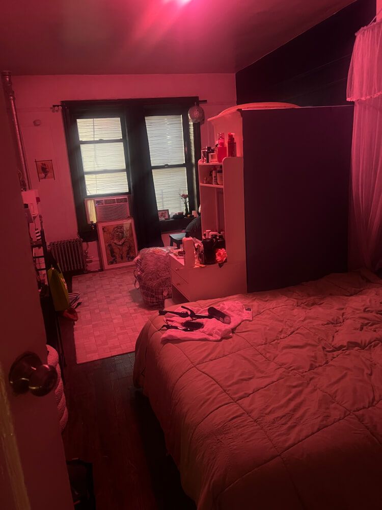 Spacious Furnished Room on Nostrand Avenue