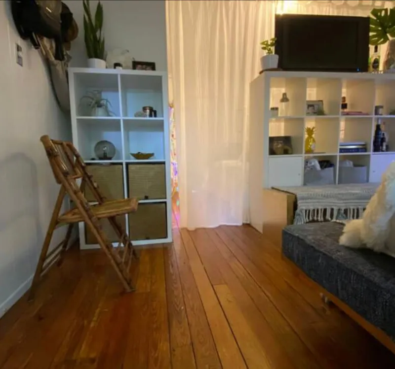 Charming Furnished Studio in Williamsburg - 28 Day Minimum Stay