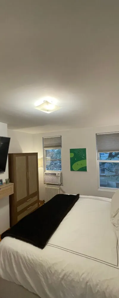 Sunny 1-bedroom apartment on Greenpoint/Williamsburg boarder