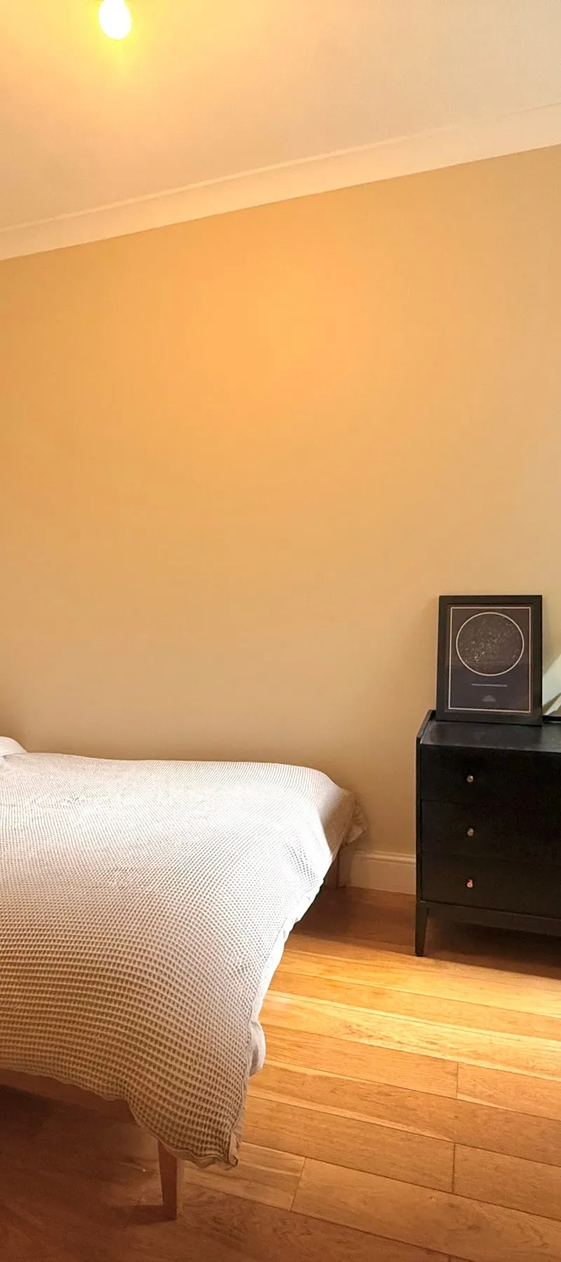Renovated Double Room near Francis Road
