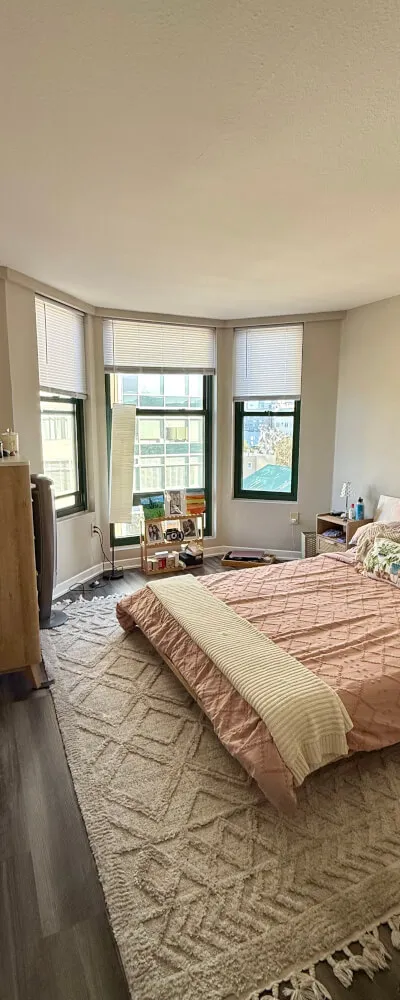 Long term Fully furnished 1BR SUBLET in Lower Pacific Heights