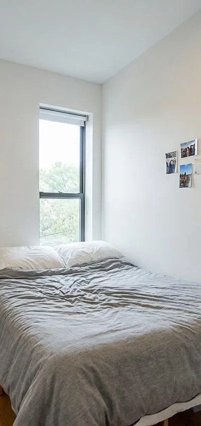 1 bedroom apartment in Bedford-Stuyvesant
