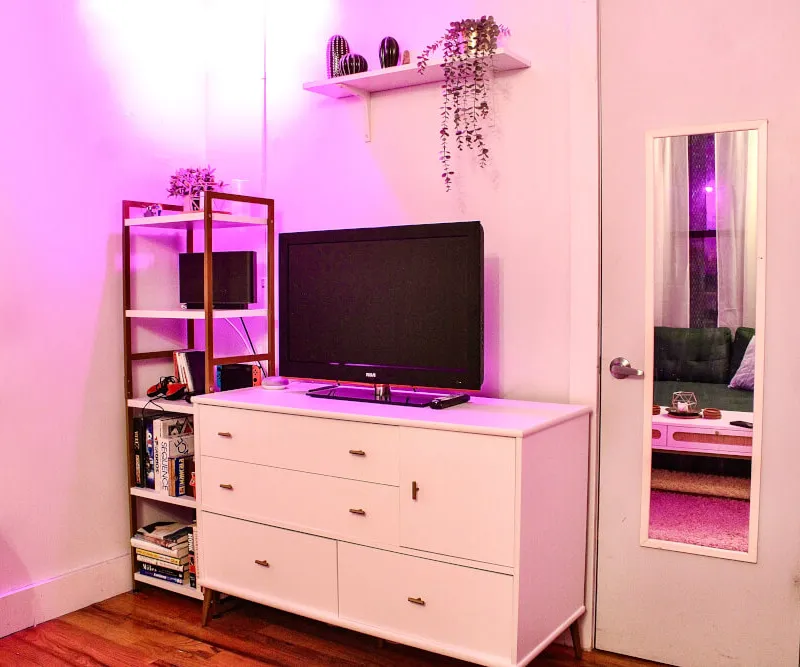 Fully Furnished Two Bedroom Apartment Sublet Bushwick/Bed-Stuy Area