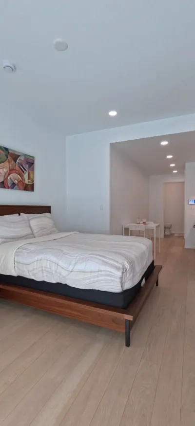 Modern brand new stylish furnished studio close to Downtown