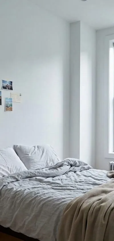 1 bedroom apartment in Ocean Hill