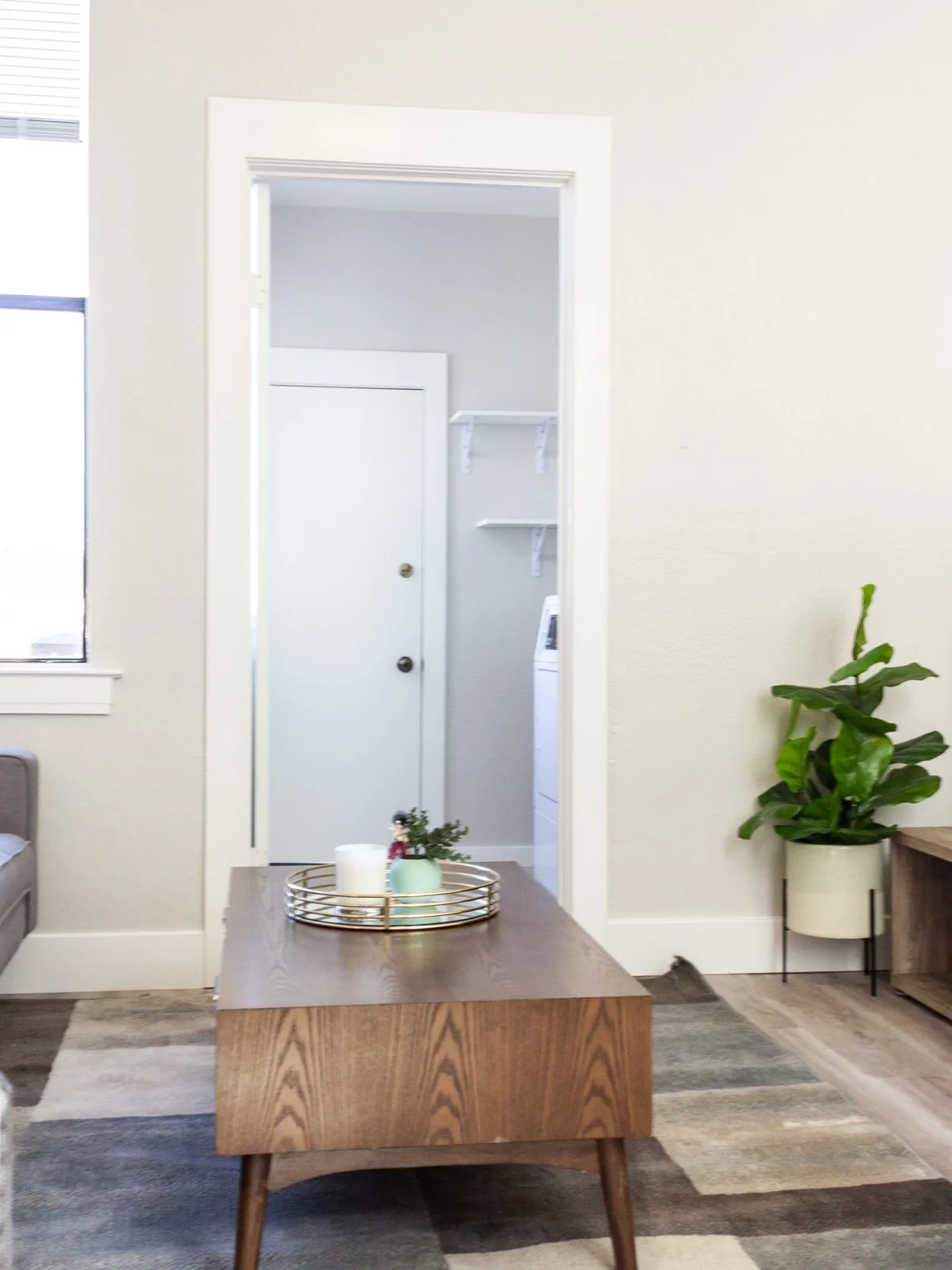 Find Your Place at Flow – Comfortable City Living Made Affordable!