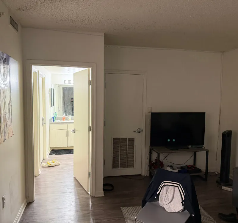 Spacious, cozy room with fantastic view in College Park
