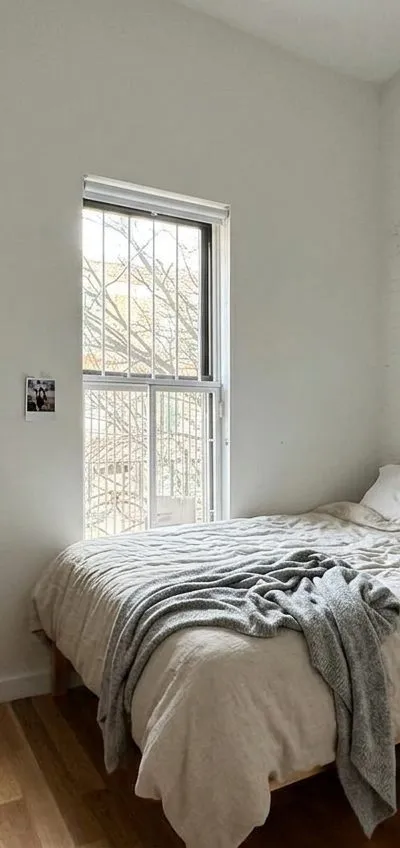 1 bedroom apartment in Bedford-Stuyvesant