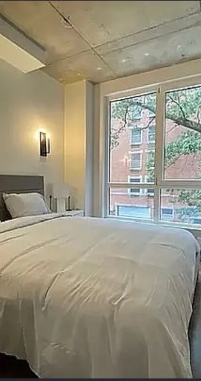 Long-term Room Sublease in PLG/ Flatbush