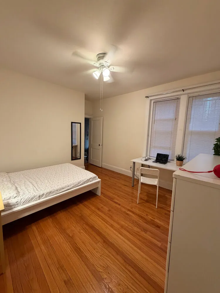 Spacious and Cozy Room in Jamaica Plain