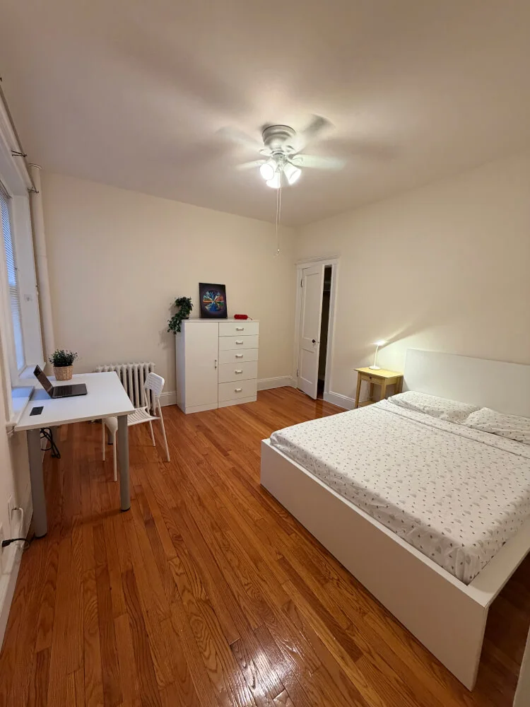 Spacious and Cozy Room in Jamaica Plain